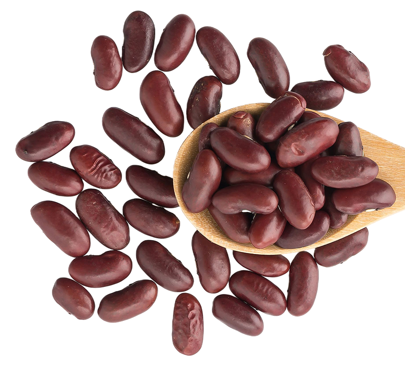frijoles-Nosotros